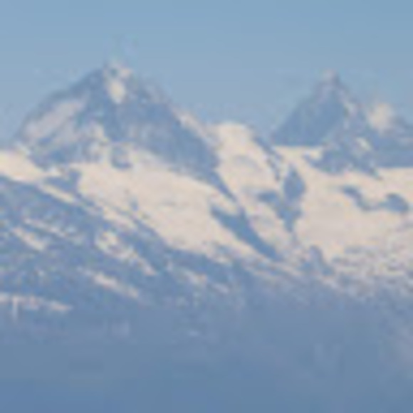 Meet your Posher, Cameron - Picture 1 of 1